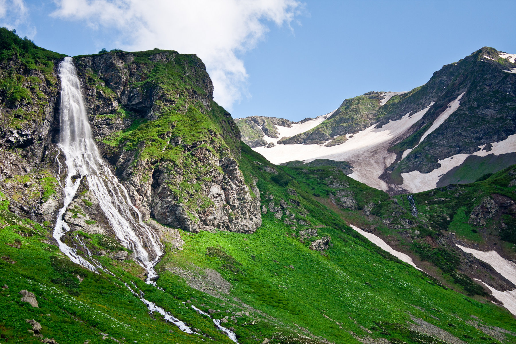 Шамбала красная Поляна