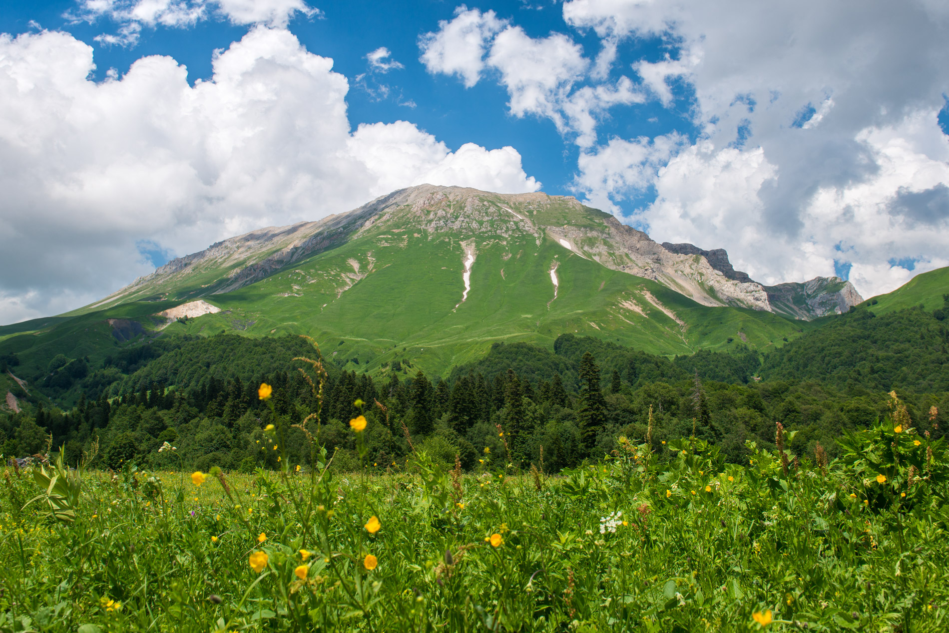 Кавказский заповедник Фишт